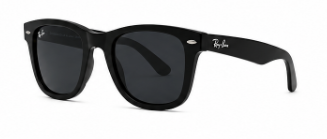 Ray-Ban Erika Sunglasses — Black